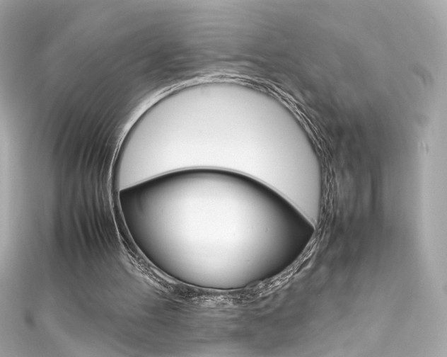 X0000111600100200907161223
