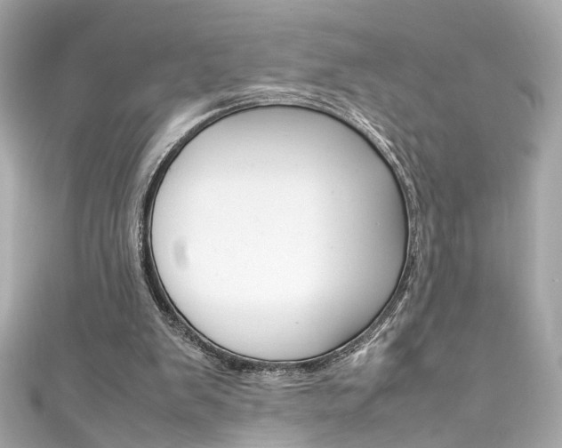 X0000111600103200907161223