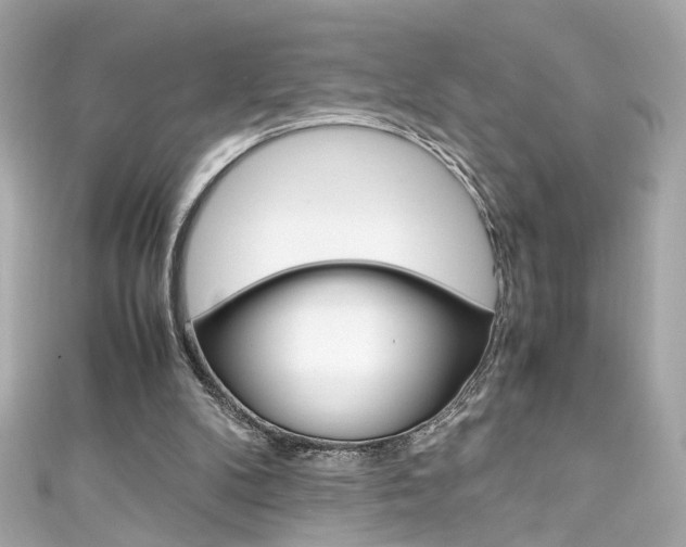 X0000111600104200907161223
