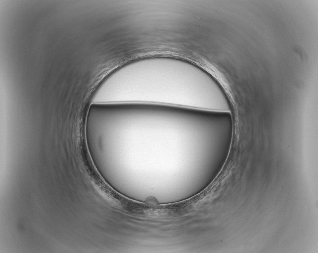 X0000111600105200907161223