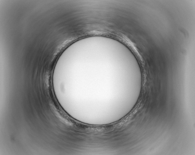 X0000111600106200907161223