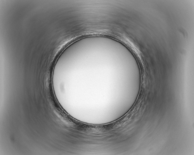 X0000111600107200907161223