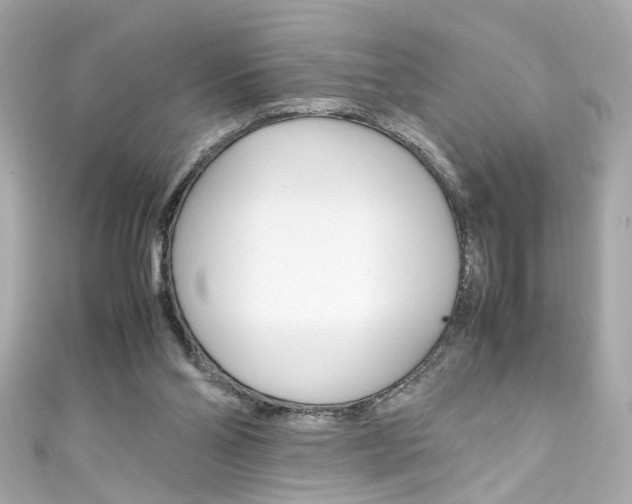 X0000111600110200907161223