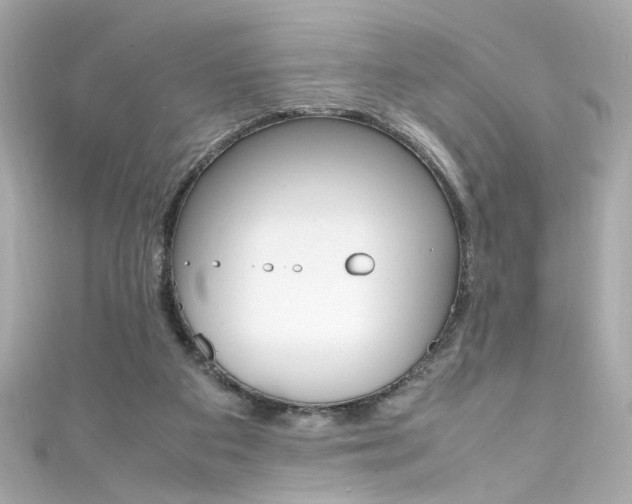 X0000111600113200907161223