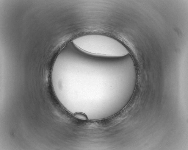 X0000111600115200907161222