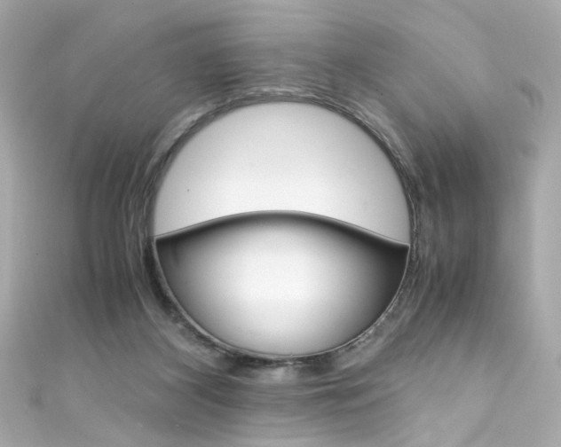 X0000111600116200907161222