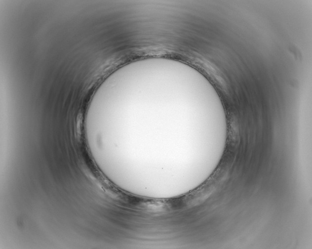 X0000111600118200907161222