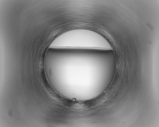 X0000111600119200907161222