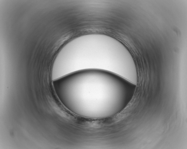 X0000111600120200907161222