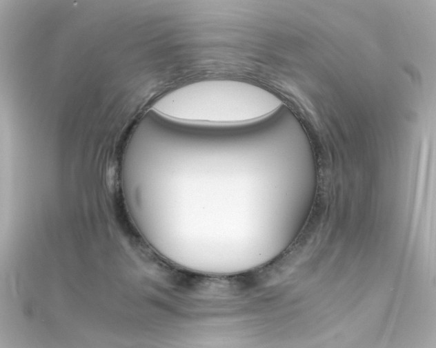 X0000111600123200907161222
