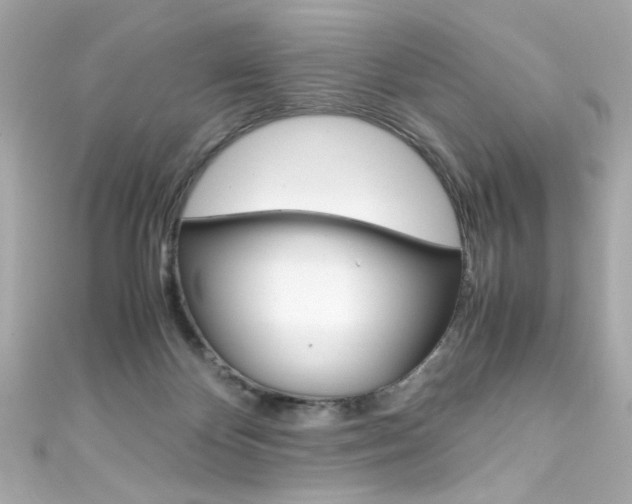 X0000111600124200907161222