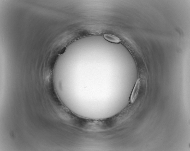 X0000111600125200907161222