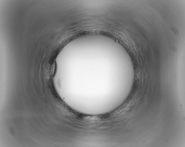 X0000111600133200907161222