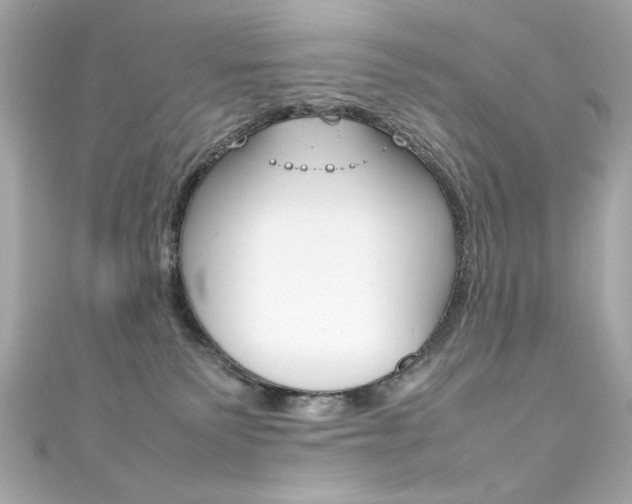 X0000111600135200907161222
