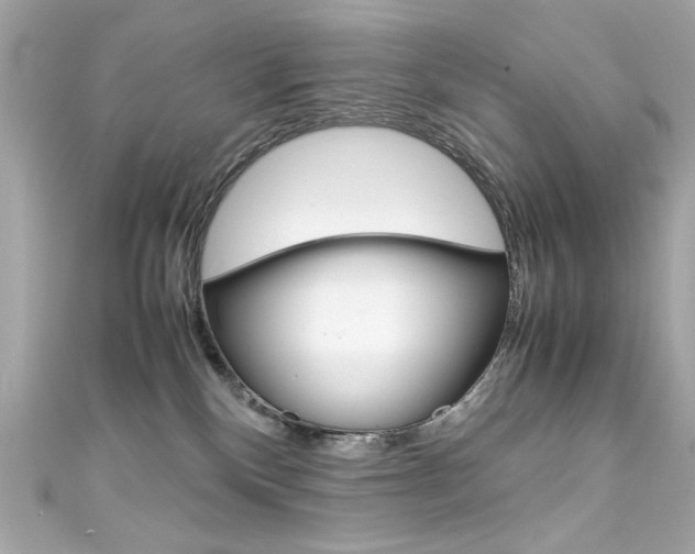 X0000111600136200907161222