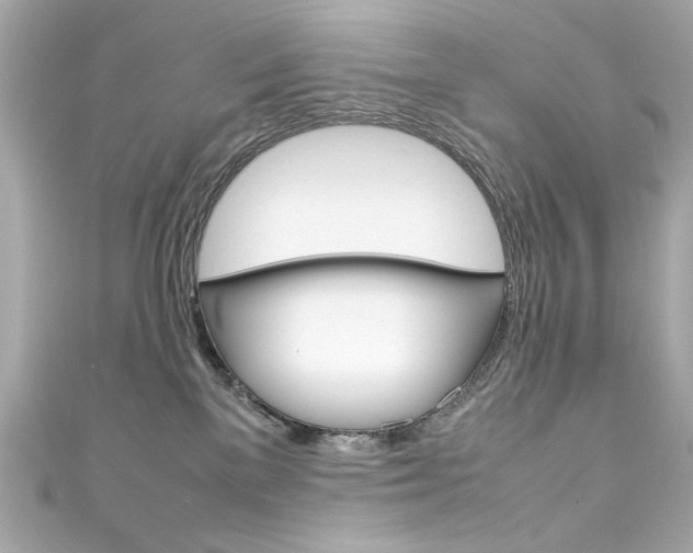 X0000111600137200907161222