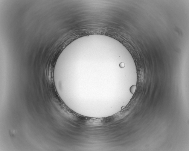 X0000111600138200907161222