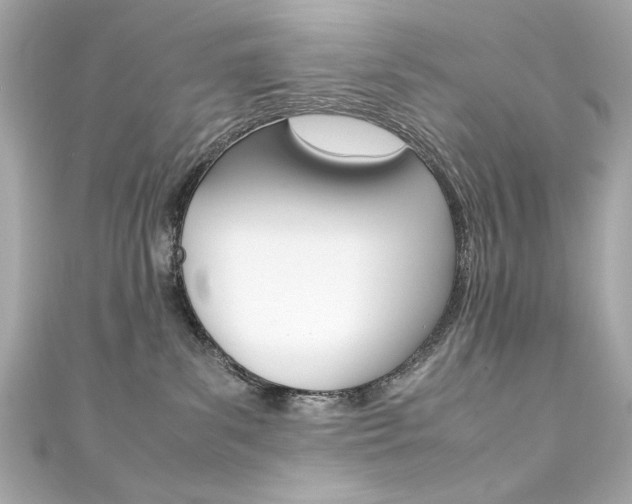 X0000111600139200907161222