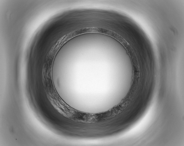 X0000111600143200907161222