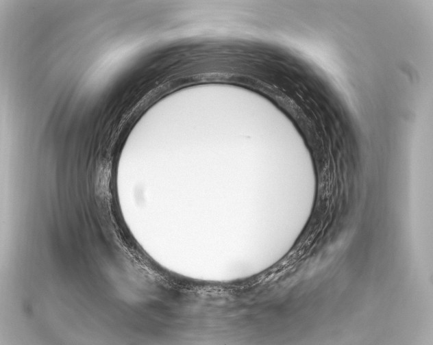 X0000111600146200907161221