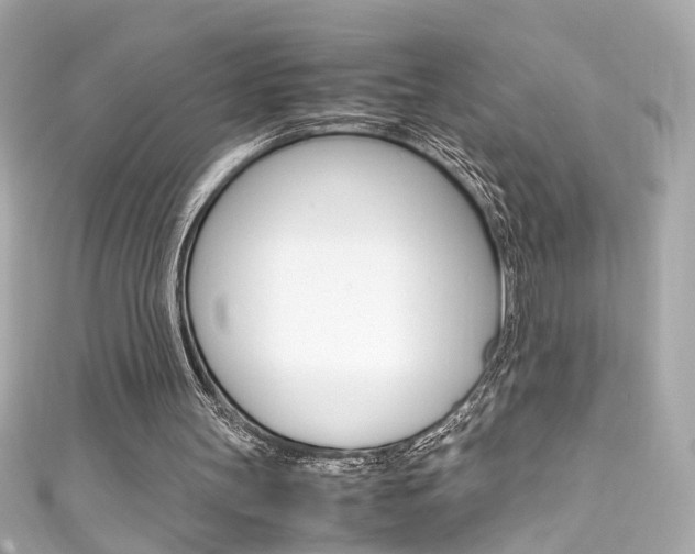 X0000111600147200907161221