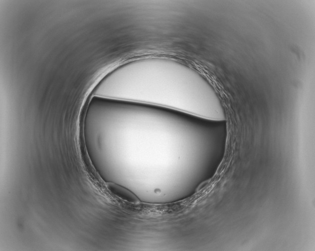 X0000111600148200907161221