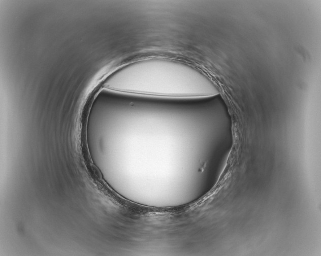 X0000111600150200907161221