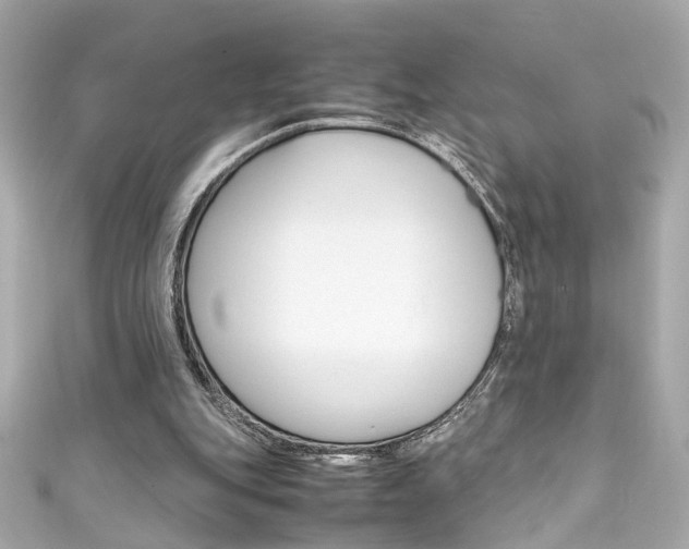 X0000111600151200907161221