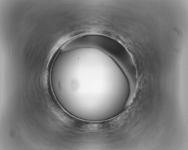 X0000111600152200907161221