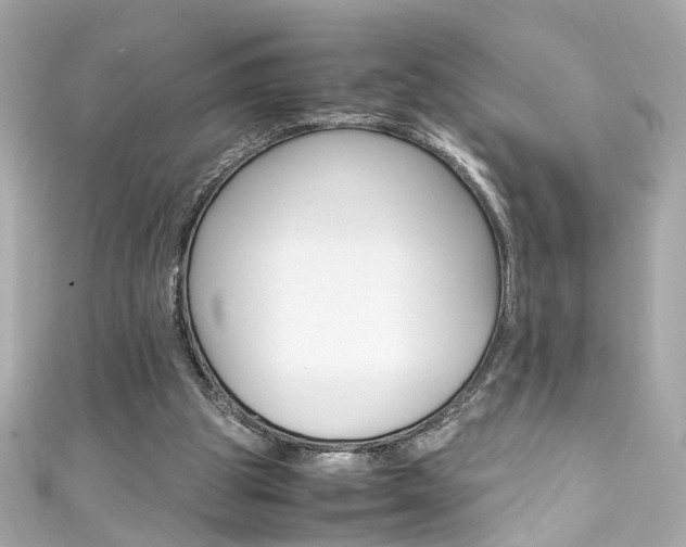 X0000111600153200907161222