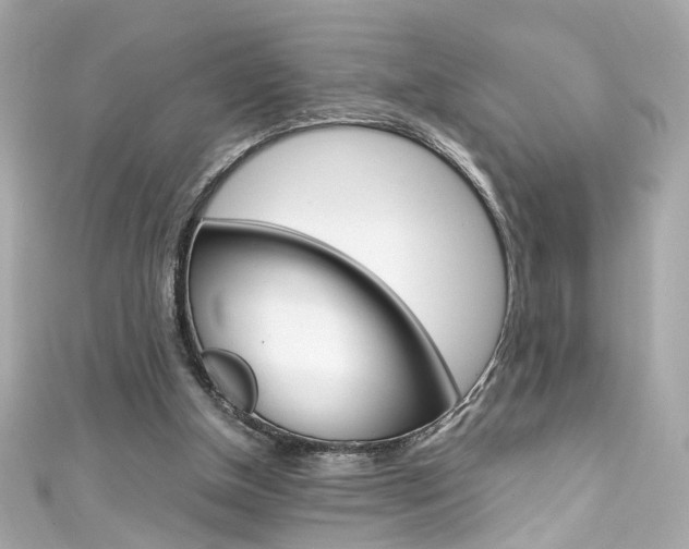 X0000111600154200907161222