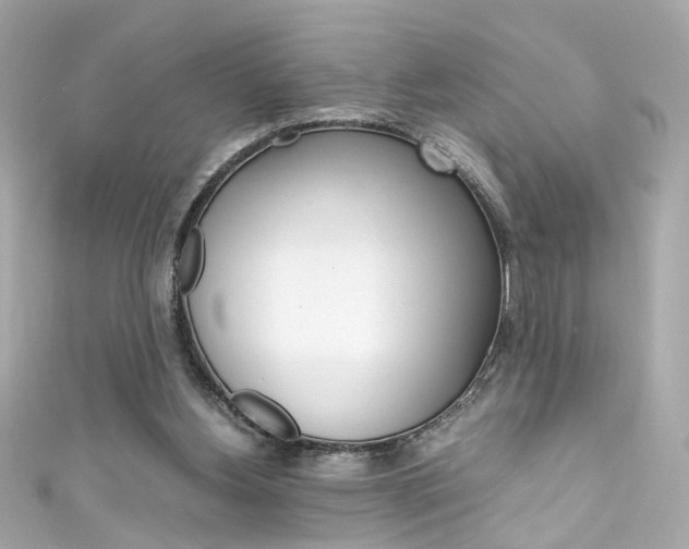 X0000111600156200907161222