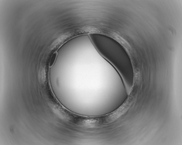 X0000111600158200907161222