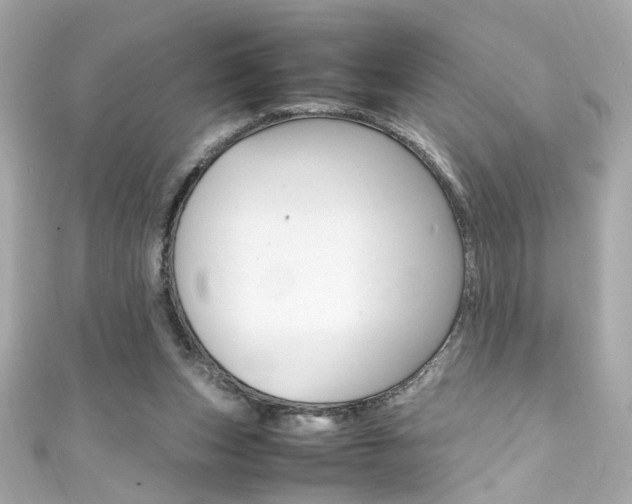 X0000111600159200907161222