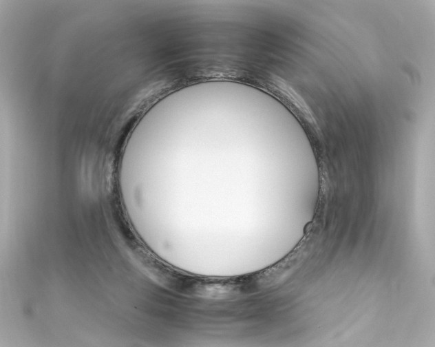 X0000111600163200907161222