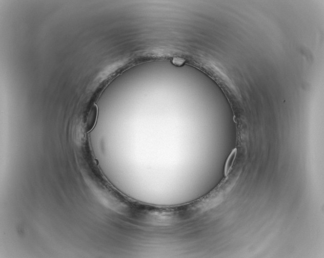 X0000111600164200907161222