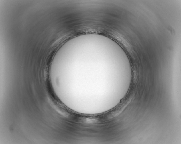 X0000111600165200907161222