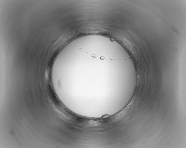 X0000111600166200907161222