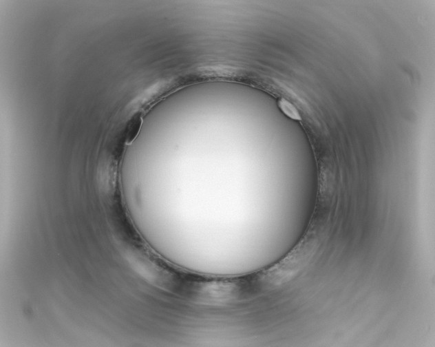 X0000111600168200907161222