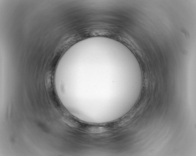 X0000111600169200907161222