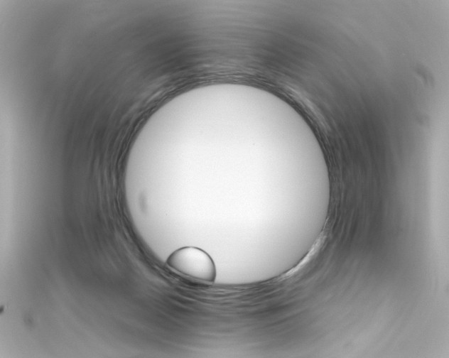 X0000111600170200907161222