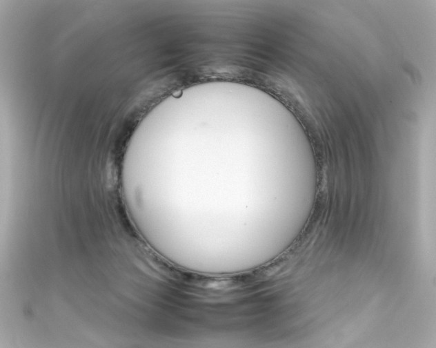 X0000111600173200907161222