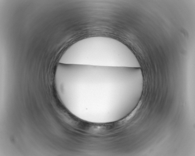 X0000111600174200907161222
