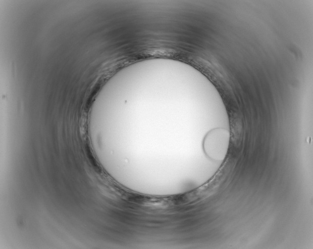 X0000111600175200907161222