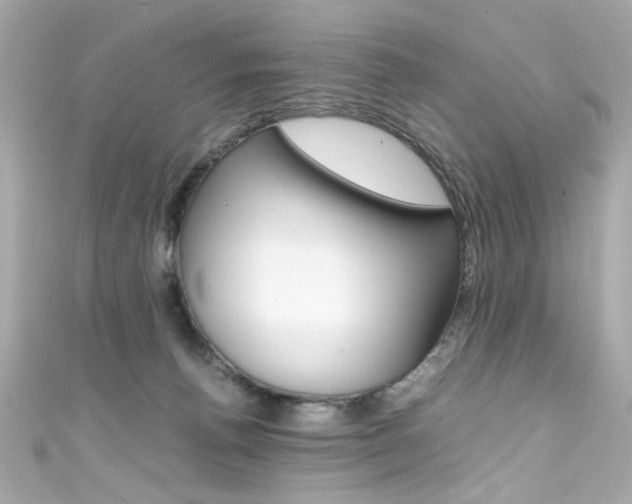 X0000111600176200907161222