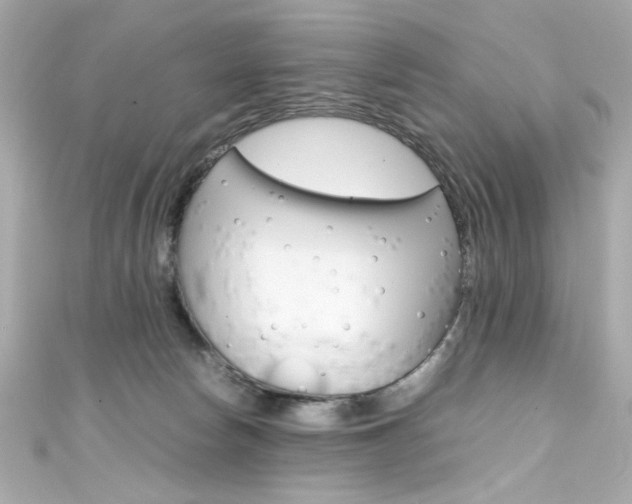 X0000111600178200907161222