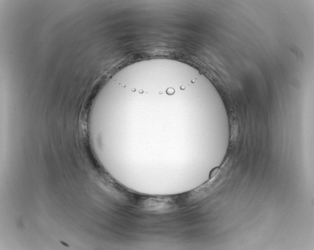 X0000111600179200907161222
