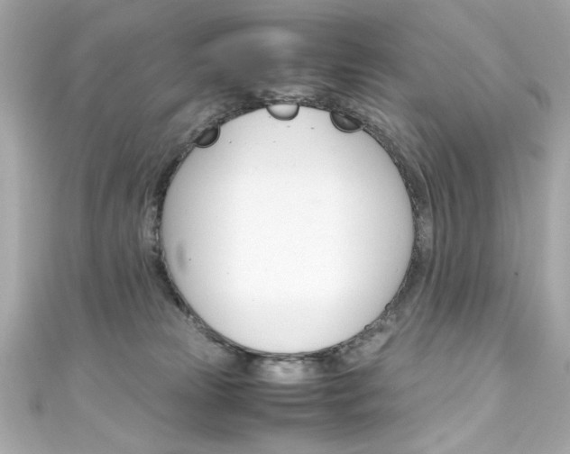 X0000111600181200907161222