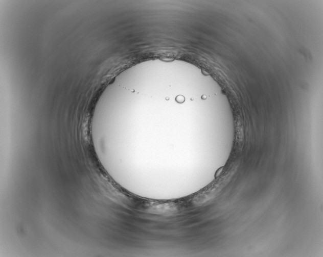 X0000111600185200907161222