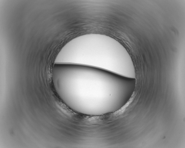 X0000111600186200907161222